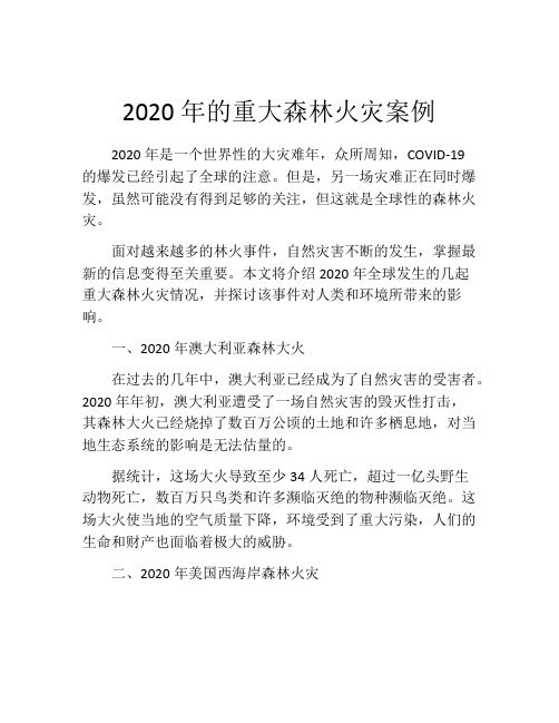 2020年的重大森林火灾案例