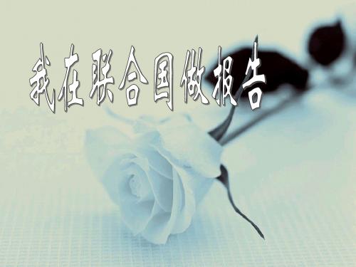 我在联合国作报告PPT2