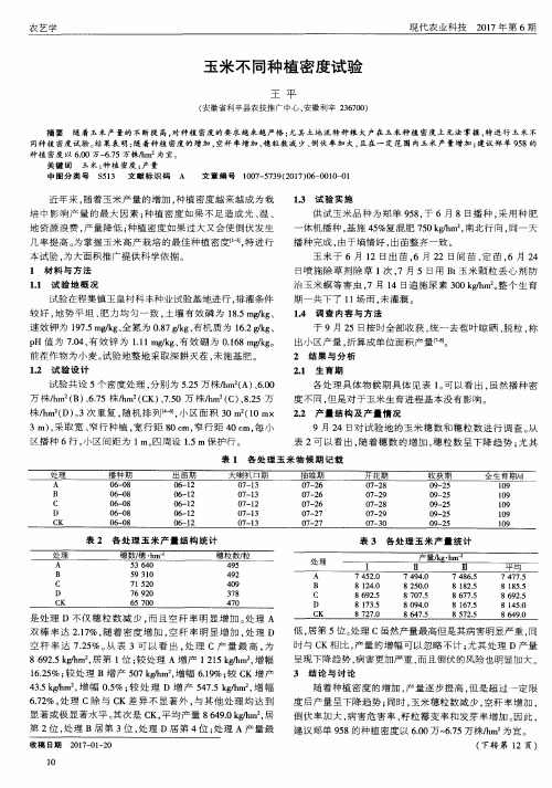 玉米不同种植密度试验