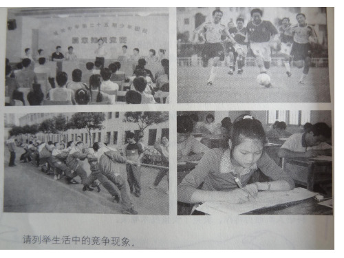 竞争不忘合作  课本活动题答案