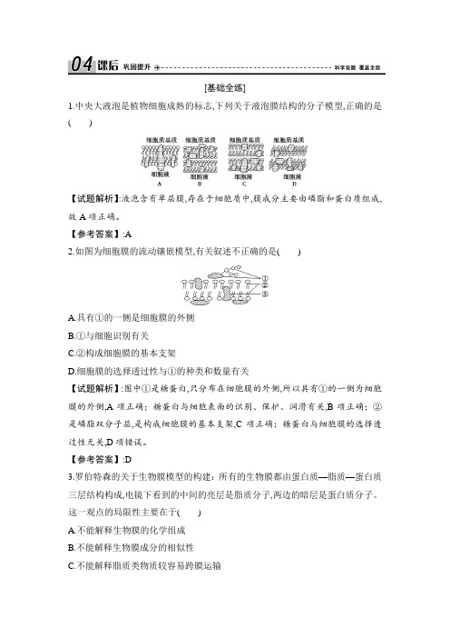 2021人教版高中生物必修1优化探究学案第4章第2节生物膜的流动镶嵌模型