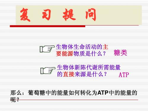 5.3呼吸作用