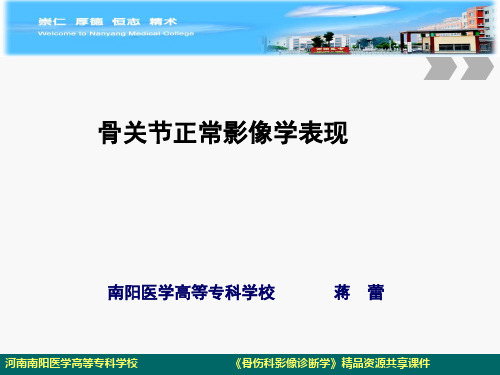 骨关节正常影像学表现