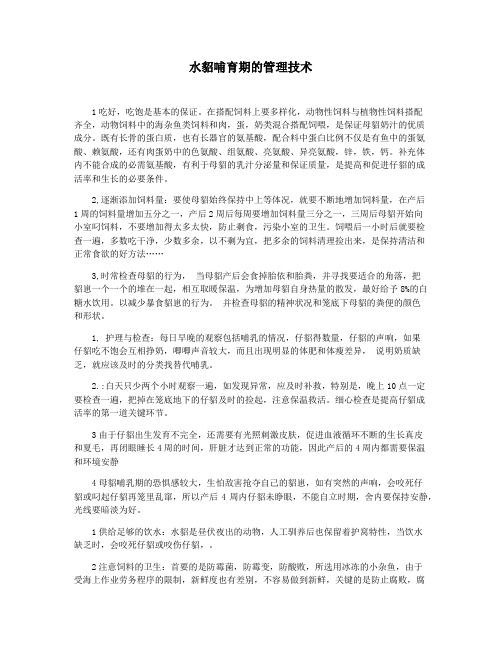 水貂哺育期的管理技术