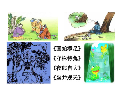 【北师大版】语文四年级上册：第11单元《井底之蛙》课件(1)