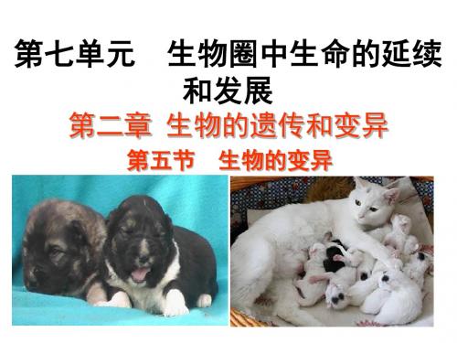 人教版初中生物八年级下册精品课件7.2.5 生物的变异