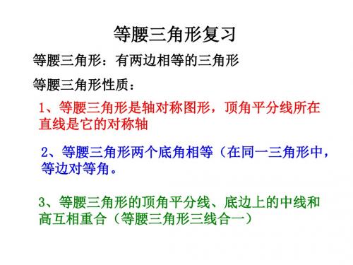 等腰三角形复习--浙教版(2019年)