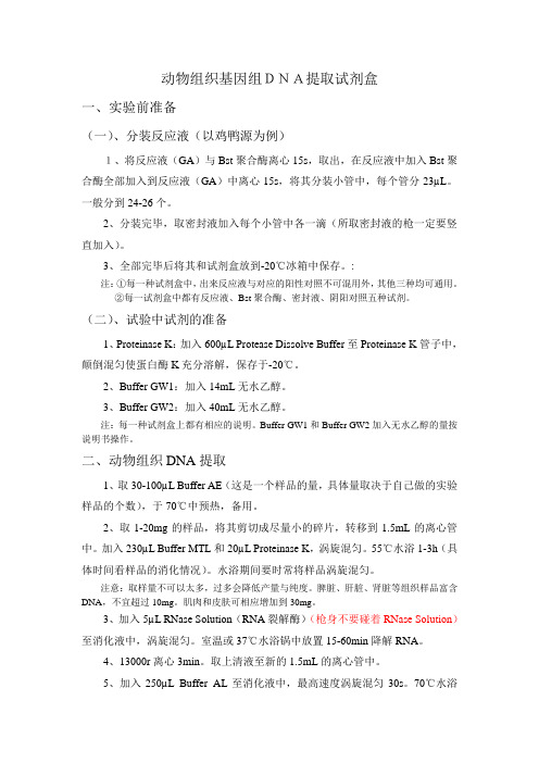 动物荧光定量PCR检测方法