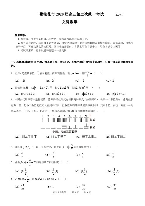四川省攀枝花市2020届高三第二次统一考试文数试题(含答案)
