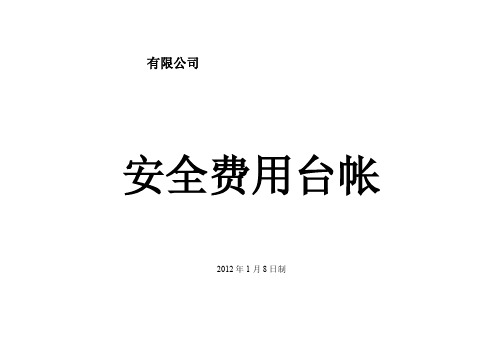 安全费用台账