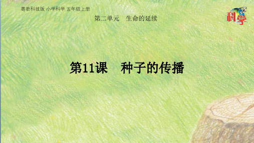 粤教版教材《种子的传播》PPT下载1