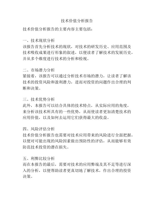 技术价值分析报告