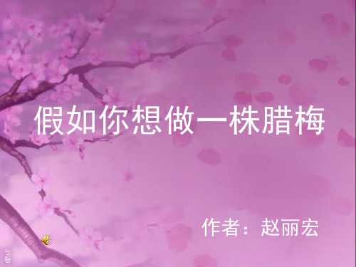 假如你想做一株腊梅课件