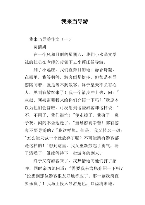 我来当导游
