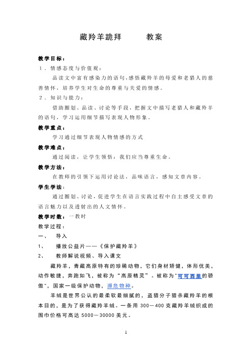 藏羚羊跪拜