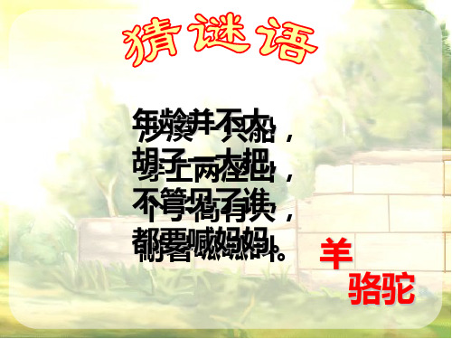 沪教版一年级语文下册第十课骆驼和羊课件