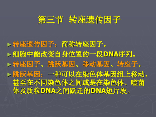 转座因子遗传课件