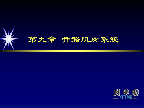 373-9-13骨肿瘤与肿瘤样病变影像诊断