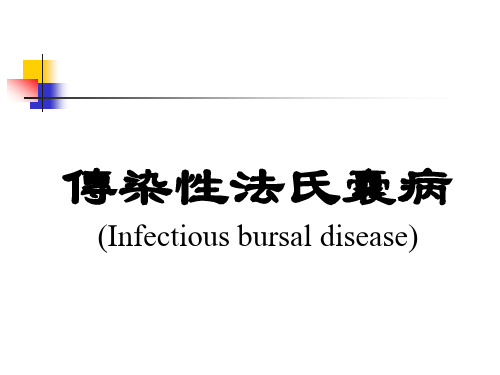 兽医课件-传染性法氏囊病