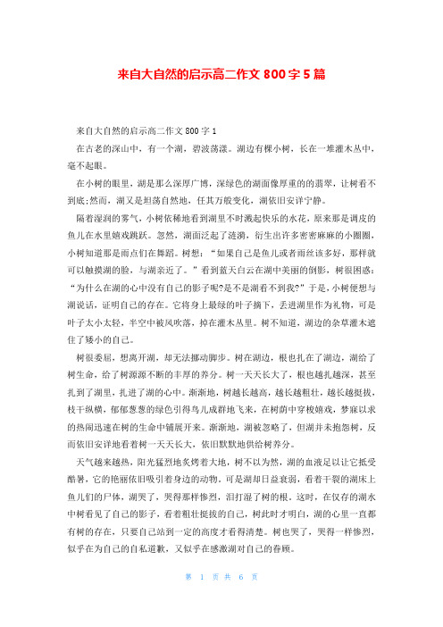 来自大自然的启示高二作文800字5篇