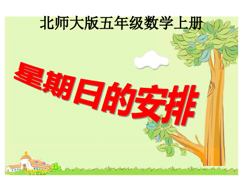 《星期日的安排》17页PPT文档