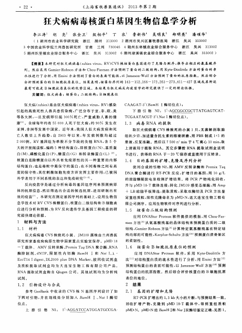 狂犬病病毒核蛋白基因生物信息学分析