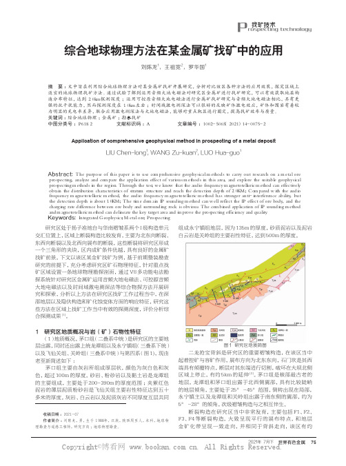 综合地球物理方法在某金属矿找矿中的应用