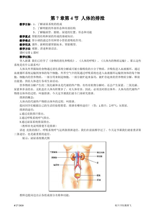人体的排泄教案