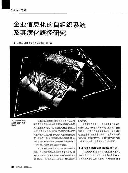 企业信息化的自组织系统及其演化路径研究