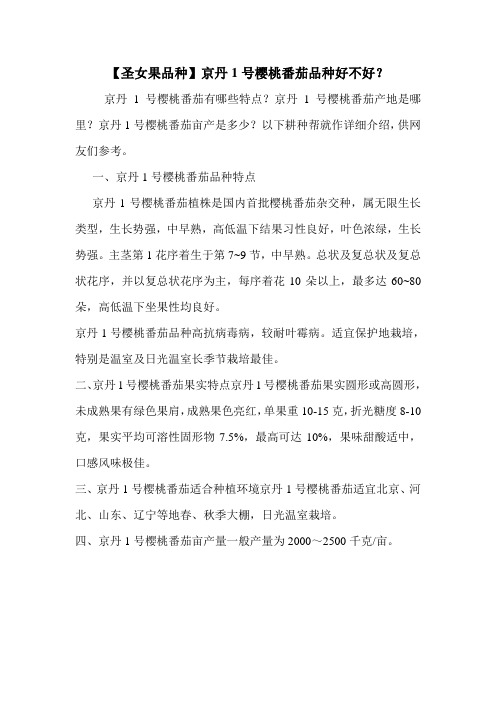 【圣女果品种】京丹1号樱桃番茄品种好不好？