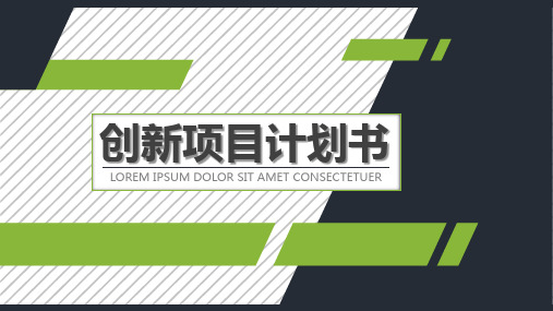 创新项目演讲计划书PPT模板