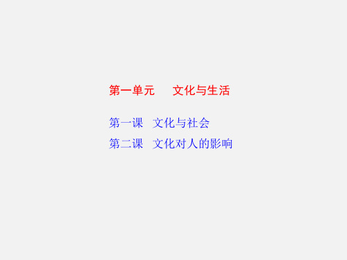 高考政治 一轮复习 文化与生活(同步教学) 课标人教版精品必修3