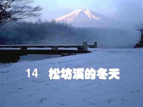 松坊溪的冬天(定稿).ppt