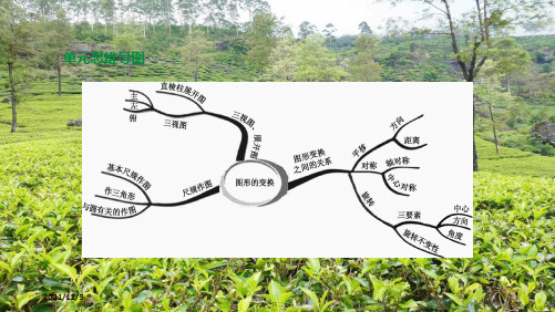 中考数学第七单元图形的变换第30课时三视图与展开图