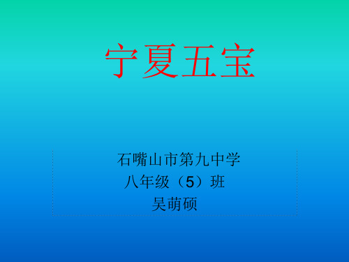 宁夏五宝