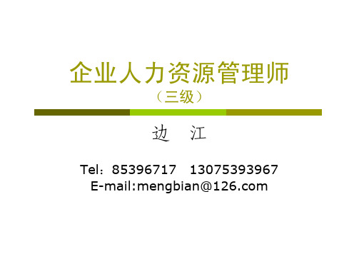 第一章 人力资源规划(三级)