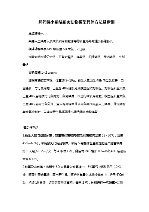 坏死性小肠结肠炎动物模型具体方法及步骤