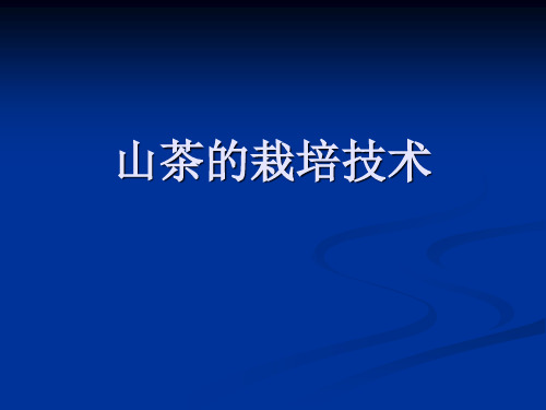 山茶的栽培技术