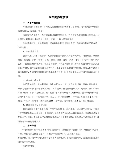 牛的养殖技术教案