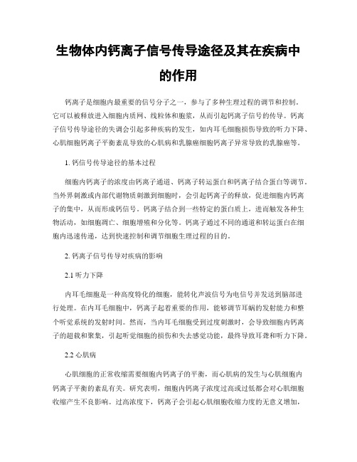 生物体内钙离子信号传导途径及其在疾病中的作用