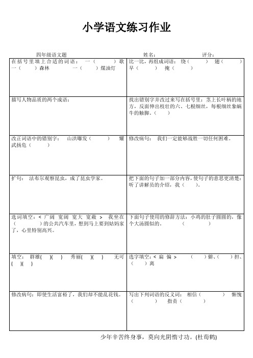 小学四年级语文每日一练III (5)