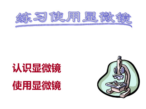 显微镜的结构和使用ppt(1)(1) - 副本