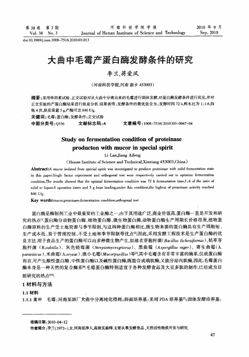 大曲中毛霉产蛋白酶发酵条件的研究