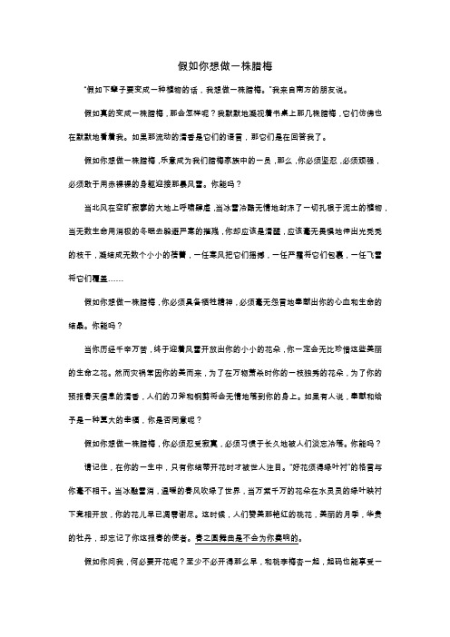 假如你想做一株腊梅