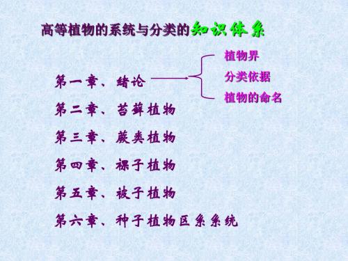 植物系统分类学