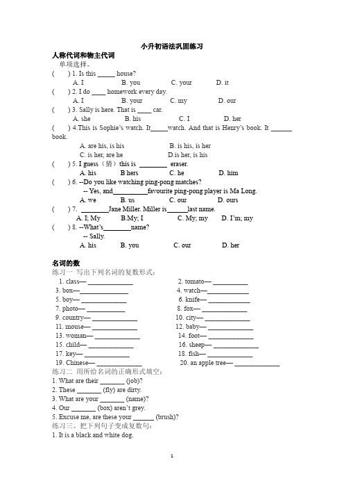 六年级下册英语试题-小升初语法巩固练习(含答案)   人教PEP版