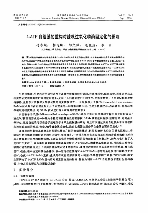 4-ATP自组膜的重构对辣根过氧化物酶固定化的影响