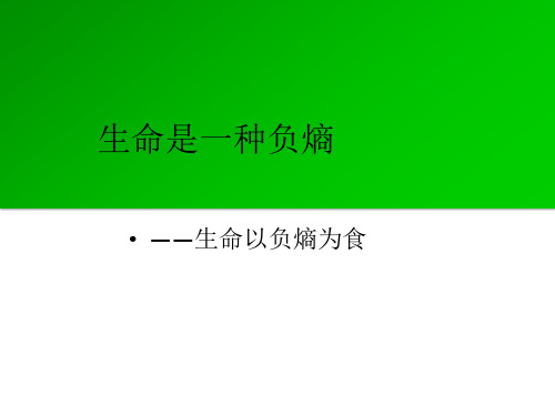 生命是一种负熵