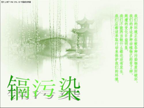 镉污染对健康影响