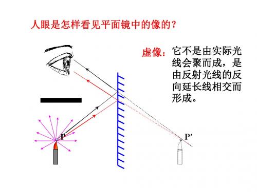 八年级物理凸透镜成像规律1